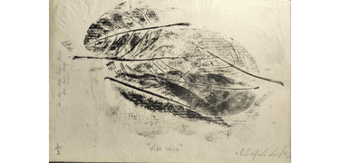 Desenho de Celestino Neto