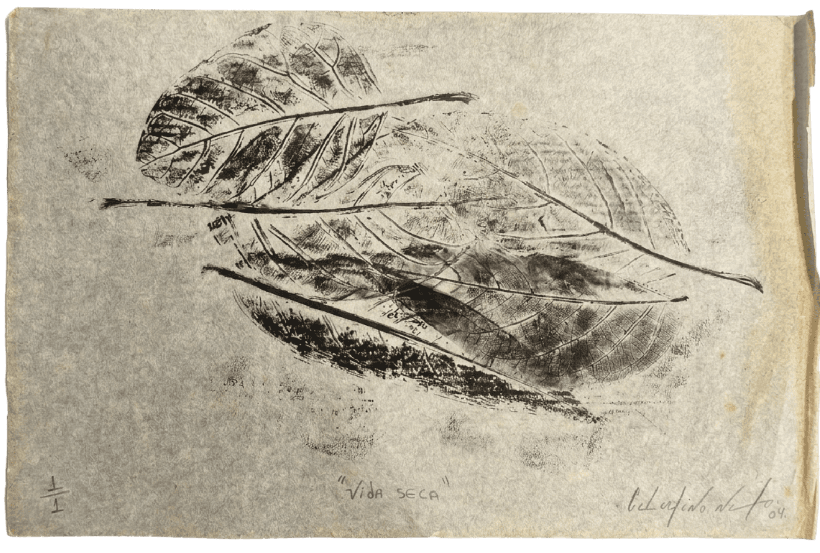 Desenho de Celestino Neto